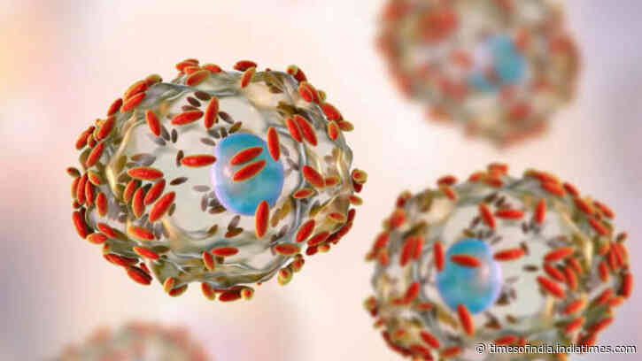 Cyclospora outbreak in US: What to know about the explosive stomach infection and its source