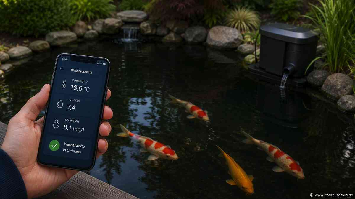Smarter Koi-Teich: Wie KI die Fischzucht revolutionieren könnte