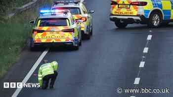 Van driver held after man dies following A27 crash