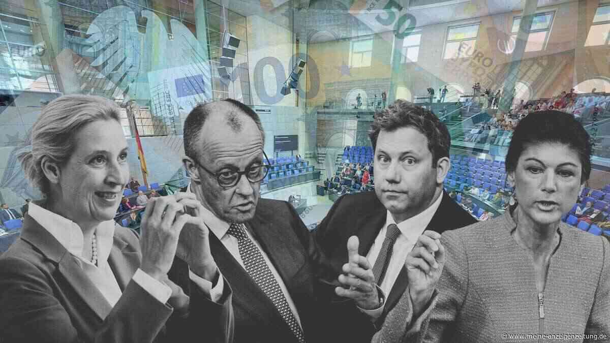 Privatpersonen spendeten Millionen an die AfD – eine Partei profitiert noch mehr