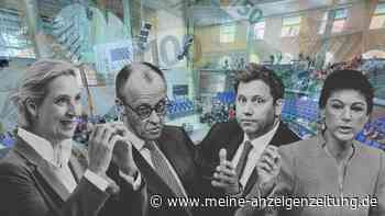 Privatpersonen spendeten Millionen an die AfD – eine Partei profitiert noch mehr