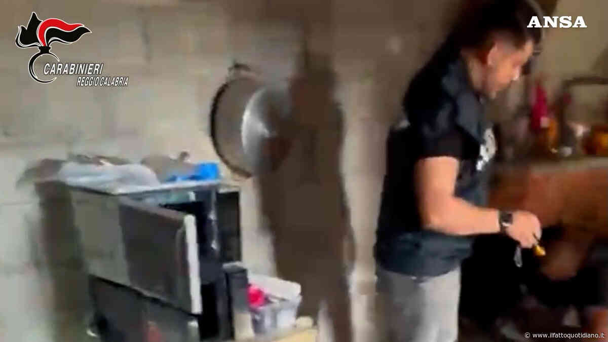 Scoperto laboratorio clandestino di cocaina in Aspromonte: la base in un rudere isolato – Video