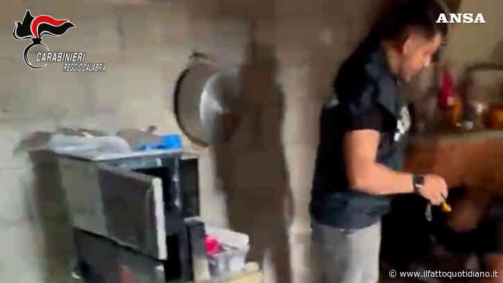 Scoperto laboratorio clandestino di cocaina in Aspromonte: la base in un rudere isolato – Video