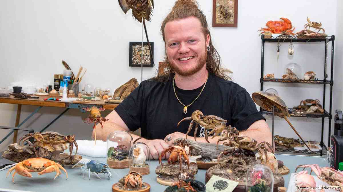 Northumberland taxidermist turns hobby into business to preserve pet crabs and lobsters