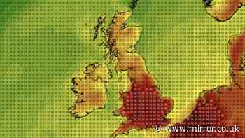 Exact date UK to burn with temperature hitting 35C as heatwave returns
