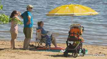 From algae to E.coli, Sask. offers beachgoers ways to check water conditions