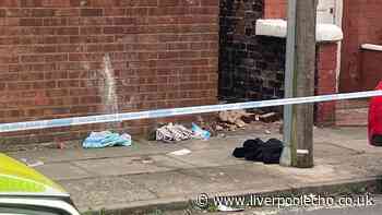 Man stabbed in face as blood and medical kit inside cordon