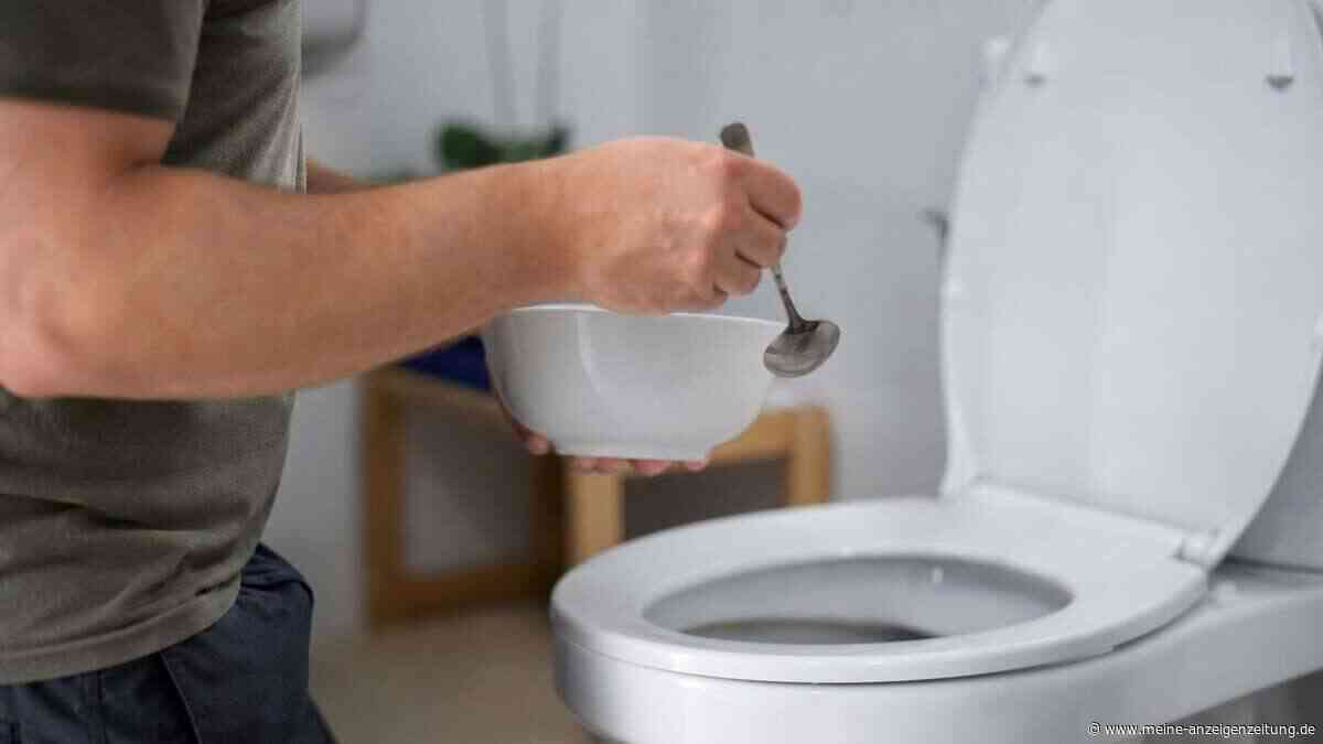 Toilette vor der Reise reinigen: Ein Hausmittel kann Ärger machen