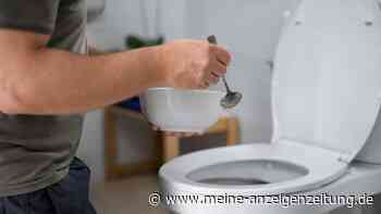 Toilette vor der Reise reinigen: Ein Hausmittel kann Ärger machen