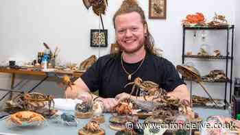 Northumberland taxidermist turns hobby into business to preserve pet crabs and lobsters