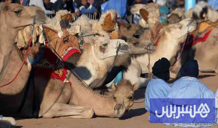 إسبانيا تواصل مناقشة تجنيس مواليد فترة الاستعمار بالصحراء المغربية