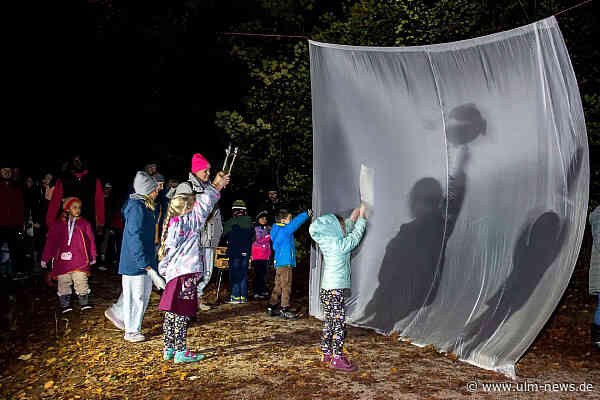 Wenn der Böfinger Wald wieder leuchtet - Zweites "Abendglimmen" mit mehr Stationen und mehr Workshops - Crowdfunding-Kampagne gestartet - Freiwillige gesucht