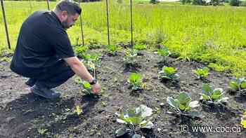 From farm to table, these local chefs serve up food from their own farms and gardens: Jasmine Mangalaseril