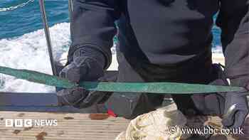 'Like Christmas' for diver who found ancient sword