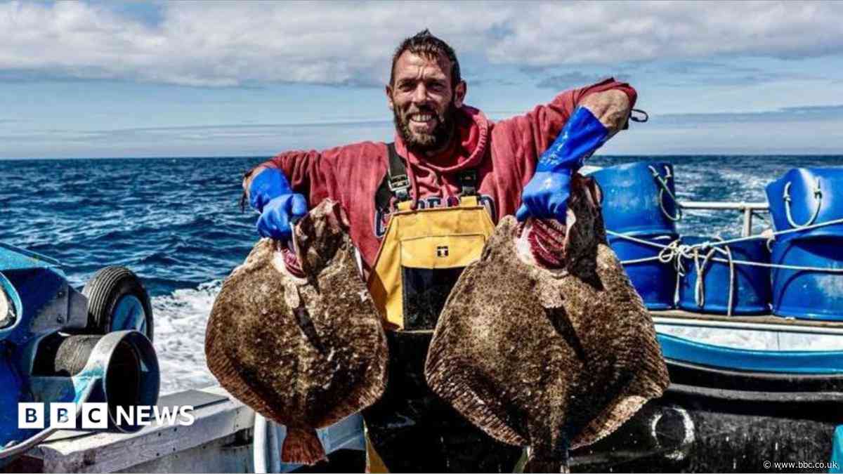 Chefs and fishers learn to adapt to new species