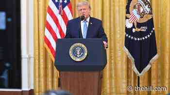 Trump amplifies China interference claim: 'Unprecedented election security nightmare' 