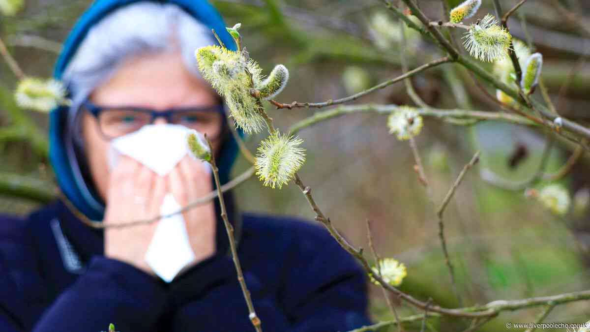 Noon to 4pm pollen hack to get a good night's sleep