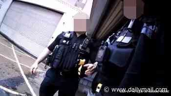 Police officers caught on camera talking about visiting a local brothel, 'fitting up' suspects and making racist and sexist jokes