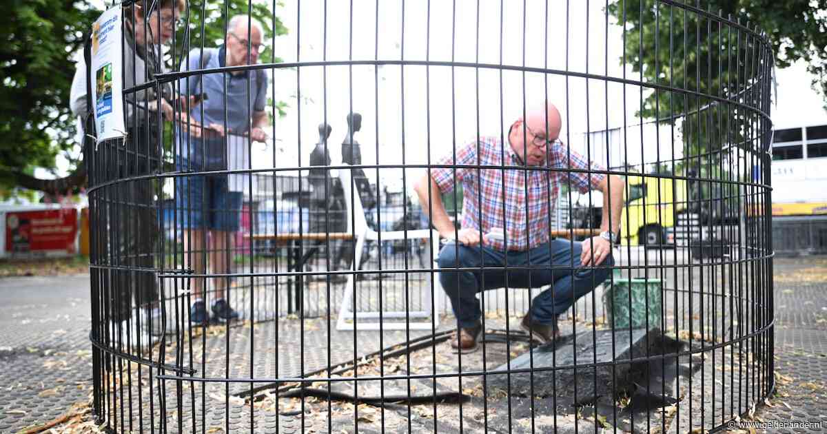 Marnix eert zijn tijdens Vierdaagse overleden vader en poetst de kots van het monument: ‘Zo ouwe, het is weer schoon’