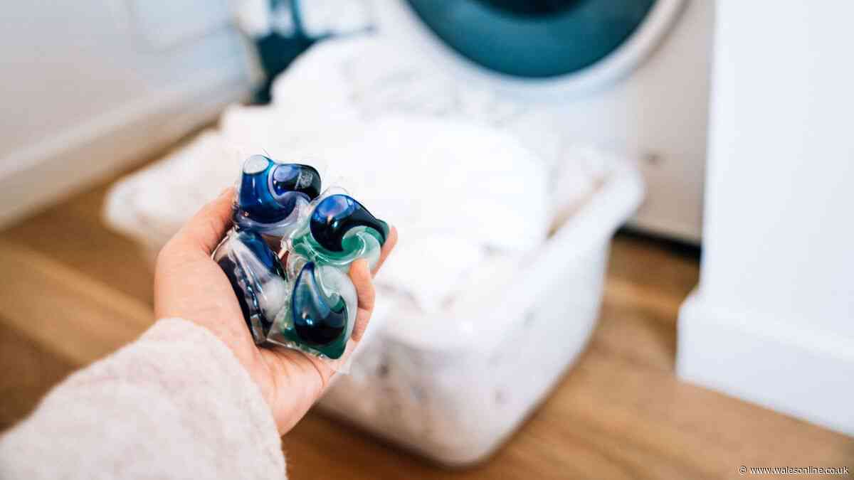 Key differences between bio and non-bio laundry detergents explained