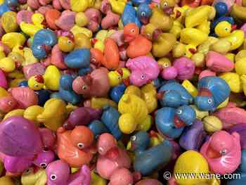 One week until the Iris Duck Race