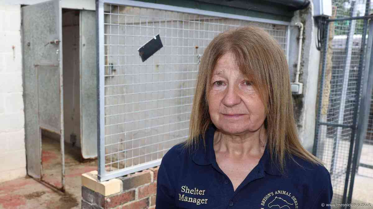 Gateshead animal shelter's desperate plea with kennels rebuild costing £250,000