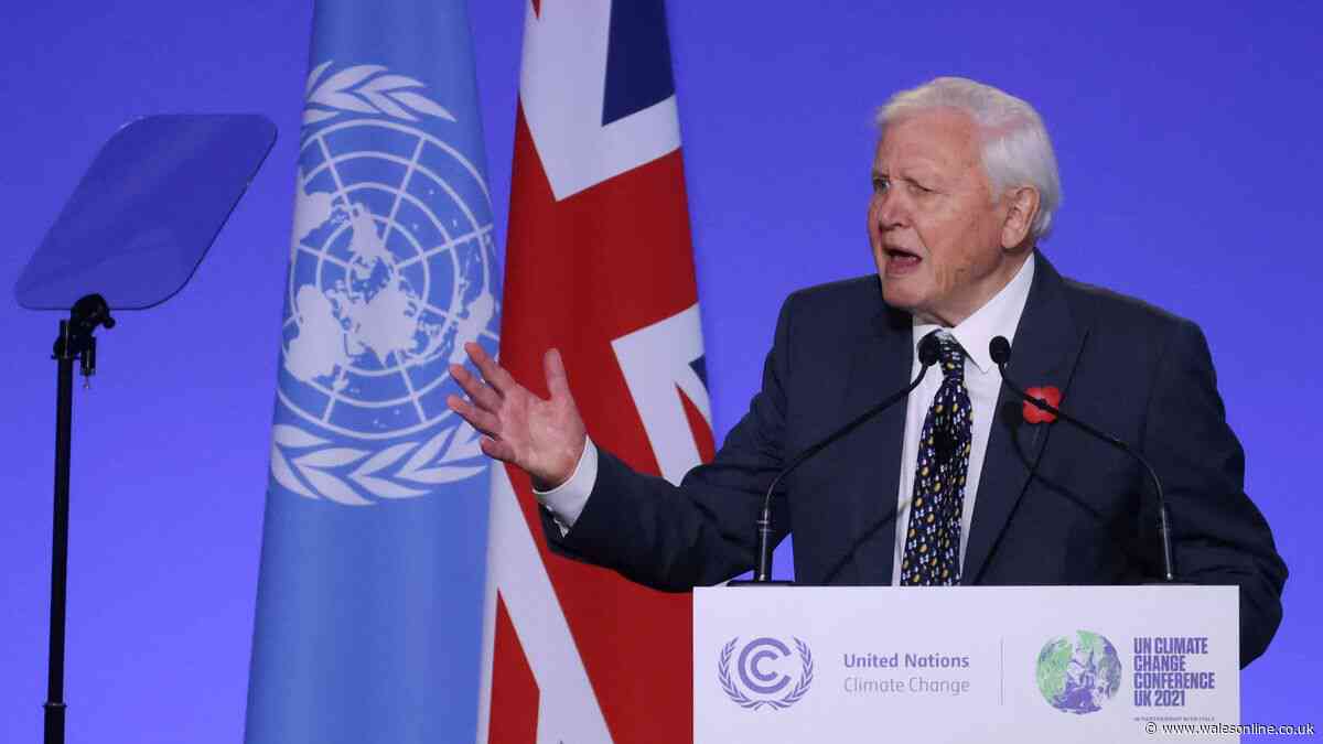 David Attenborough issues urgent message and says we're at 'brink of disaster'