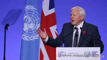 David Attenborough issues urgent message and says we're at 'brink of disaster'