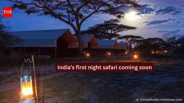 India’s first night safari coming soon to Lucknow’s Kukrail Forest; set to offer a one-of-a-kind wildlife experience