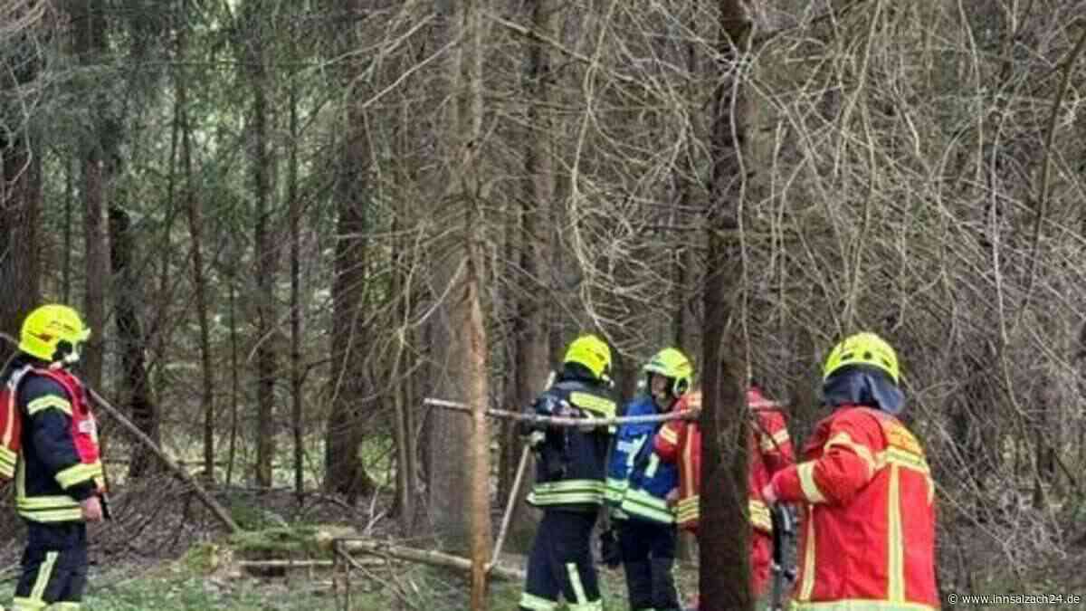 Kurz vor Waldbrand: Lagerfeuer löst Einsatz im „Harter Wald“ bei Töging aus