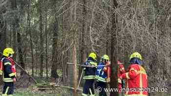 Kurz vor Waldbrand: Lagerfeuer löst Einsatz im „Harter Wald“ bei Töging aus