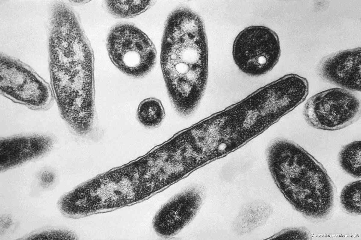 First Legionnaires’ disease death in New York City as health officials struggle to find origin of outbreak