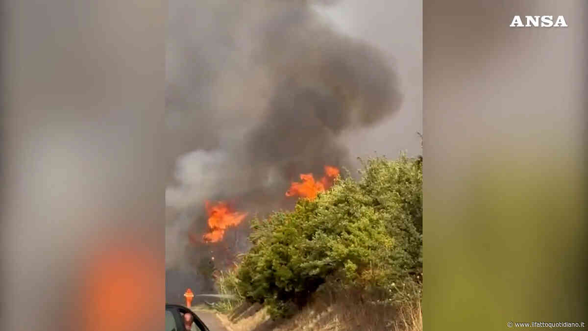 Vasto incendio divampa tra Nuorese e Oristanese: in fumo 500 ettari. Il sindaco di Noragugume: “Paesaggio lunare” – Video