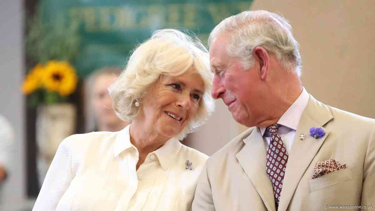Queen Camilla's 'significant' role in Prince Harry's meeting with King Charles