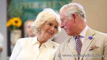 Queen Camilla's 'significant' role in Prince Harry's meeting with King Charles