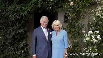 'I'm a royal expert - Queen Camilla played a significant role in Harry and King's meeting'