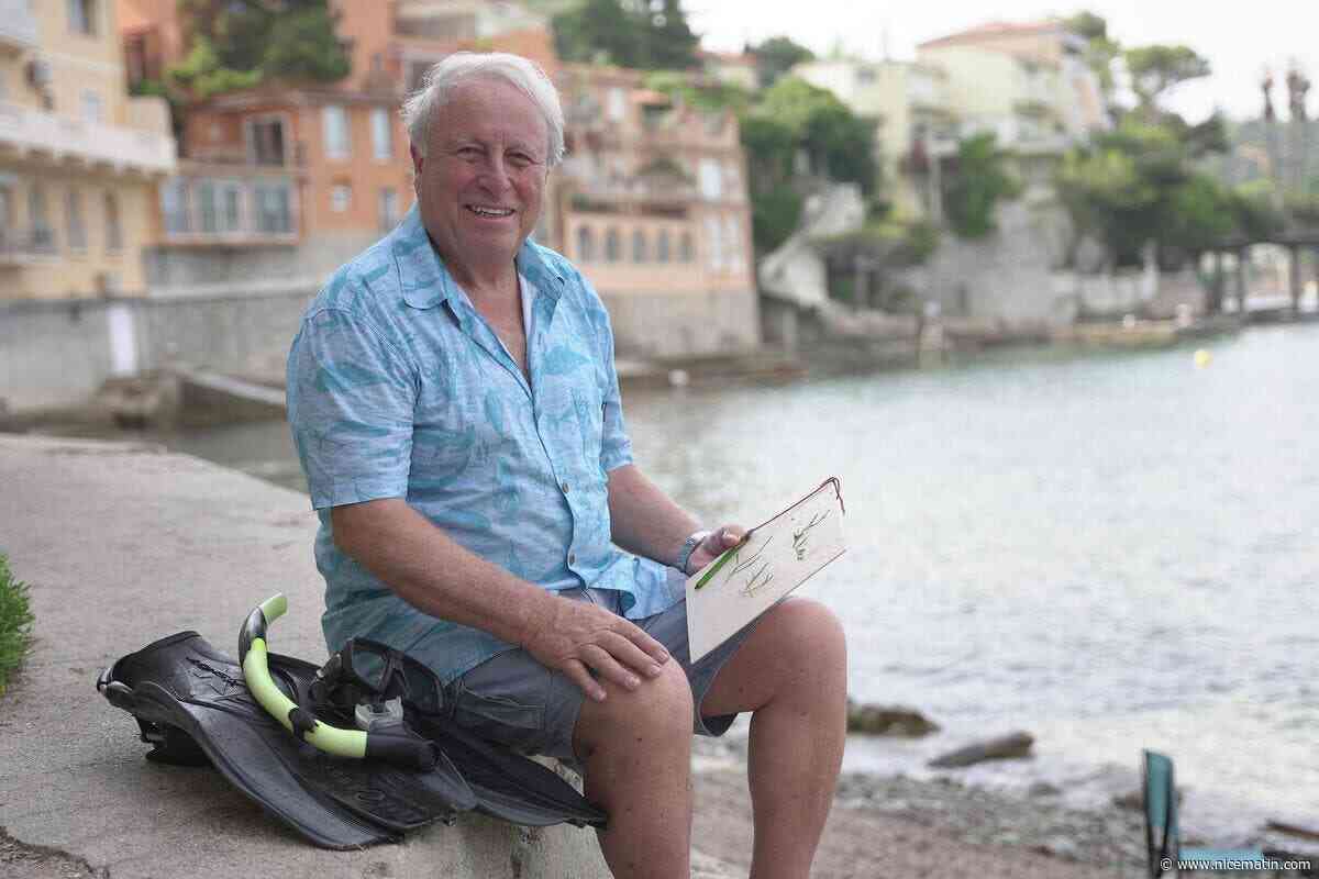 Quelle est cette nouvelle algue invasive découverte sur la Côte d’Azur?