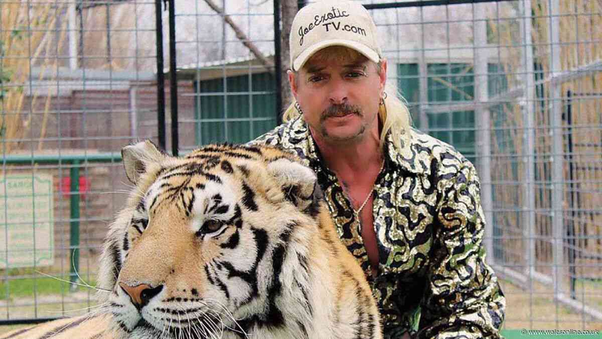 'Tiger King sequel' is coming with another 'hidden underworld' exposed