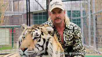 'Tiger King sequel' is coming with another 'hidden underworld' exposed