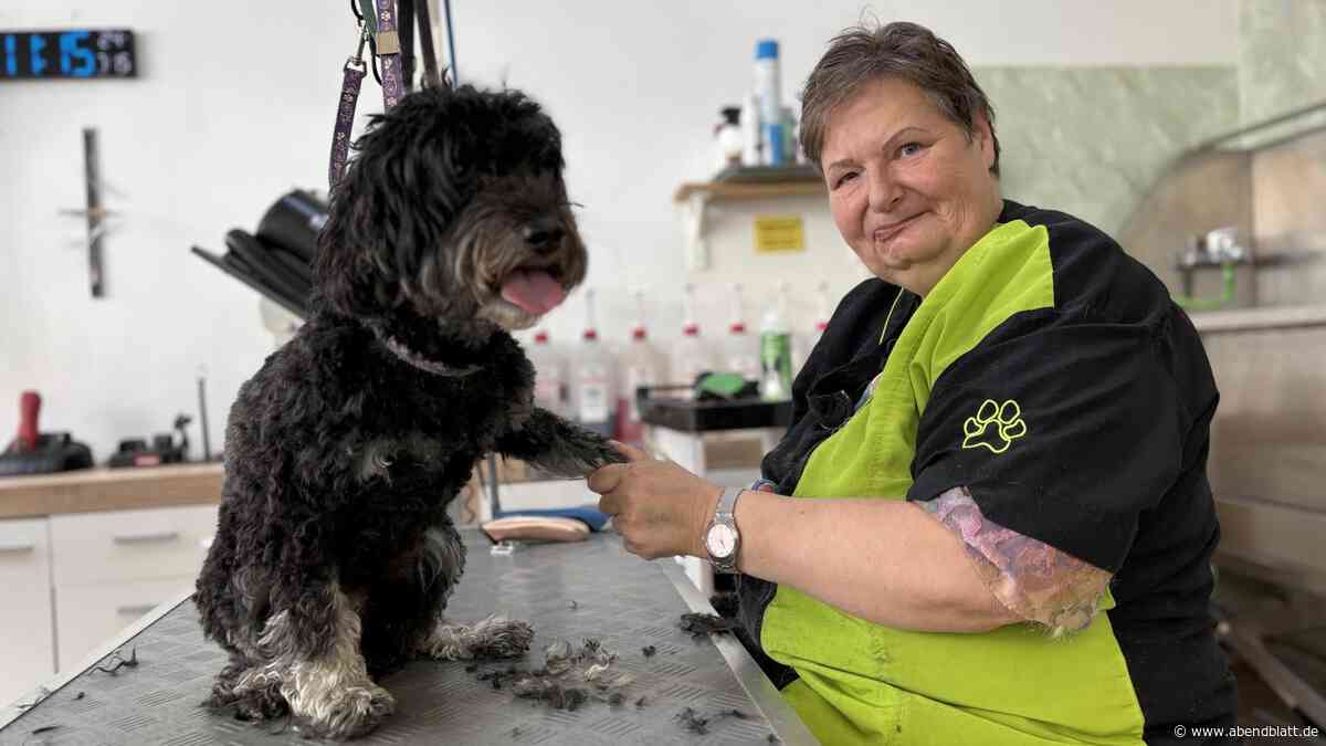Hundefriseurin in Bergedorf: Schere, Shampoo, Föhn – doch eine Sache ist tabu
