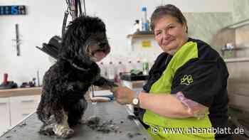 Hundefriseurin in Bergedorf: Schere, Shampoo, Föhn – doch eine Sache ist tabu