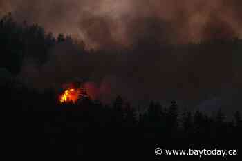 B.C. wildfire tally surges past 100 as lightning transforms fire season in a flash