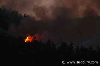 B.C. wildfire tally surges past 100 as lightning transforms fire season in a flash