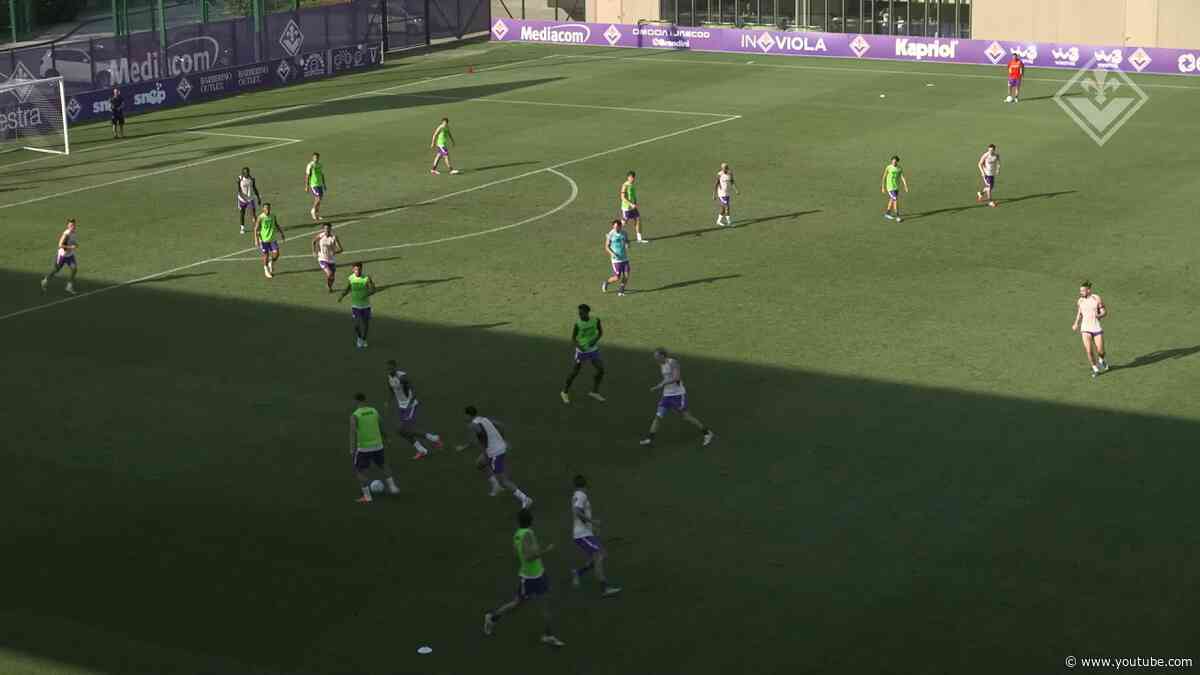 VIOLA DAILY LIVE - 18 LUGLIO 2026