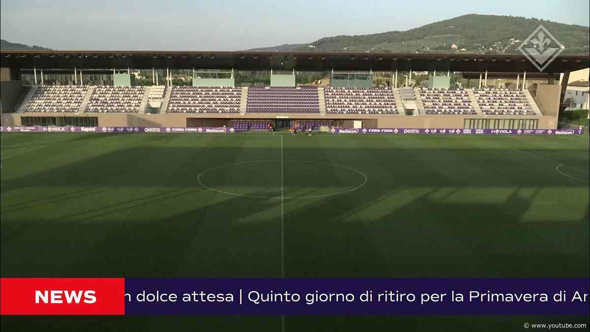 VIOLA DAILY LIVE - 16 LUGLIO 2026