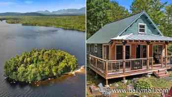 This private island with a cabin in Maine is for sale at a surprisingly low price