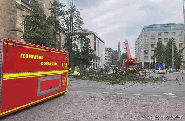 FW-DO: Umgestürzter Baum an der Reinoldikirche beschädigt Stromleitung und EDG-Reinigungsfahrzeug