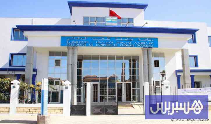 جامعة الجديدة تعمل بالتوقيت الميسر