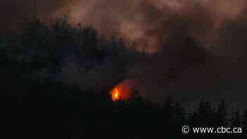 B.C. wildfire tally surges past 100 as barrage of lightning strikes transforms fire season in a flash