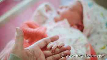 Twee Amerikanen (38) beschuldigen ziekenhuis van babywissel bij geboorte
